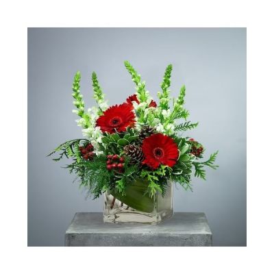 Make them "berry" happy. Berry and Bright will add cheer and whimsy to any occasion. Bright red gerbera daisies accented with red hypericum berries and pine cones in a low clear glass vase will accent any end table or coffee table.

Approximately 20" W X 14" H