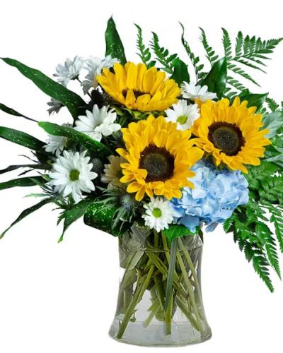 Celebrate the new arrival of a sweet baby boy with this charming arrangement. Blue hydrangea, white daisies, and yellow sunflowers framed by lush greenery are arranged in a clear glass vase. This arrangement is perfect for a dining room table.

Approximately 23" W X 18" H