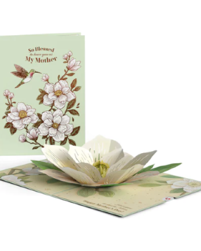 <p>Size:<br />
Mother’s Day Magnolia Pop-Up Card is 5 inches wide by 7 inches tall.</p>
<p>Quantity:<br />
One Lovepop with one blank envelope and the Lovepop Note, a little note card that slides away with your own personal touch.</p>