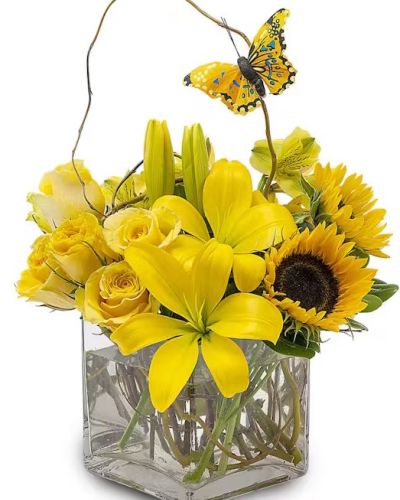 A cube of nature and sunshine to make someone's day.