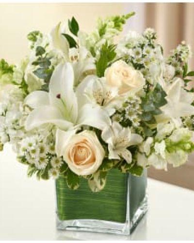 <p>This all-white arrangement of roses, lilies, snapdragons, monte casino, stock and alstroemeria is accented with variegated pittosporum, myrtle and spiral eucalyptus and artistically designed by our florists in a classic glass cube vase lined with a Ti leaf ribbon.</p>