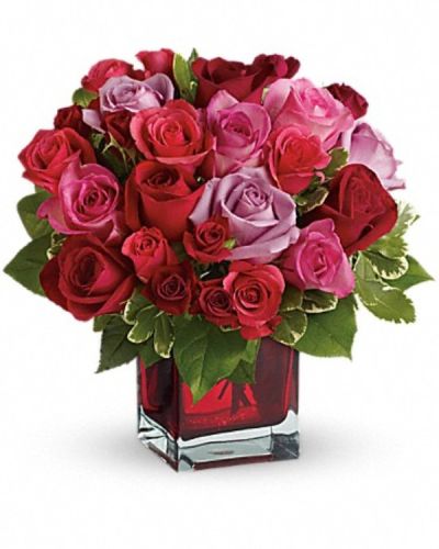 <p>If you're crazy about someone and not afraid to show it, this bright jewel-toned arrangement is the perfect way to express your love.<br />
Lavender, red and hot pink roses along with coral and red spray roses arranged in a red-hot cube vase are an absolutely beautiful way to get your message across.</p>