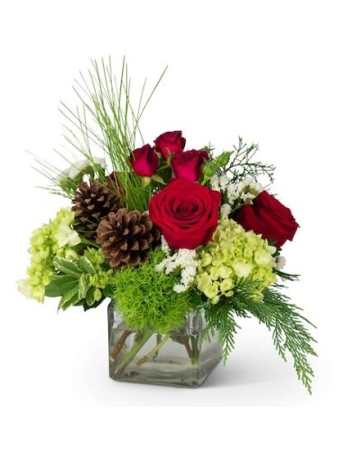 <p>Send your best holiday wishes in this sweet little package. Pine cones perfectly accent Roses, Hydrangea, and a mixture of premium holiday greens in this cheery holiday cube. Wish your friends and family the best of holidays with the Wintertime Wishes arrangement.</p>