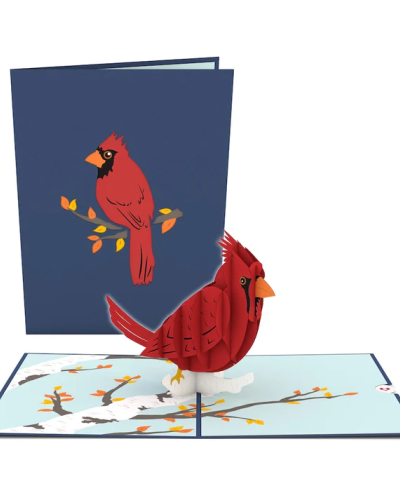 <p>The Cardinal pop up features a navy blue cover laser-cut with a beautiful red cardinal perched upon a gray branch with orange and yellow leaves.</p>
<p>Once opened, a red Cardinal reveals itself all perked up on a white branch. Below the Cardinal sculpture, the white and gray branches with little, orange and yellow leaves support the bird as it oversees its surroundings. The inside panels are also printed with a sky blue color that fits in perfectly with the beautiful scene.</p>
<p>Inspiration for the Cardinal card:<br />
Lovepop designer Kincso was inspired to make the Cardinal pop up because it is one of the most popular species amongst all birders and non-birders. We’re not surprised -- the bird’s red plumage is incredibly beautiful and translates extremely well to paper.</p>
<p>Also, Kincso was fascinated by how cardinals stay in the same territory year-round. They are cherished by birders who want to get to know their backyard visitors. Whether drawn to the animal's regal appearance, elaborate song, or feisty but loyal personality -- any cardinal-enthusiast will appreciate a practically life-size replica of the bird.</p>
<p>Occasions for the Cardinal card:<br />
Gift the Cardinal to your avid birdwatching grandmother, a friend in need of a pick-me-up, or a promising someone on the edge of taking flight.</p>
<p>Size:<br />
The Cardinal pop up card is 5 inches wide by 7 inches tall.</p>
<p>Quantity:<br />
One lovely Lovepop with one blank envelope and the Lovepop Note, a little note card that tucks away with your own personal touch.</p>