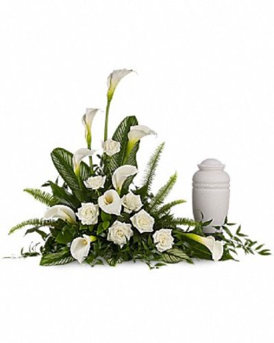 <div class="m-pdp-tabs-description">
<div id="mark-1" class="m-pdp-tabs-marketing-description">A calming portrait in ivory. Majestic calla lilies and stately white roses are framed by the lush leaves of aspidistra and calathea. Soft green sword fern adds to the soothing tones.</div>
</div>
<p id="arrngDescp">Large white calla lilies pair with white roses and lush greens that include soft, airy sword fern and glossy aspidistra. Please note: Arrangement does not include urn.</p>