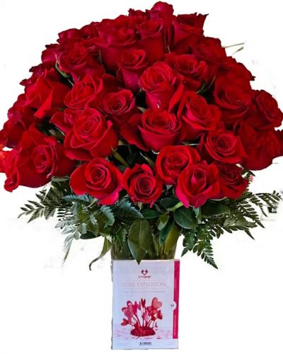This awesome arrangement of red roses will fill your room with grace and beauty.